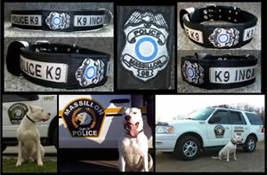 K9 Inca Massillon OH tn