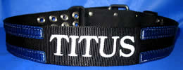 Black collar with royal blue Split Stripes