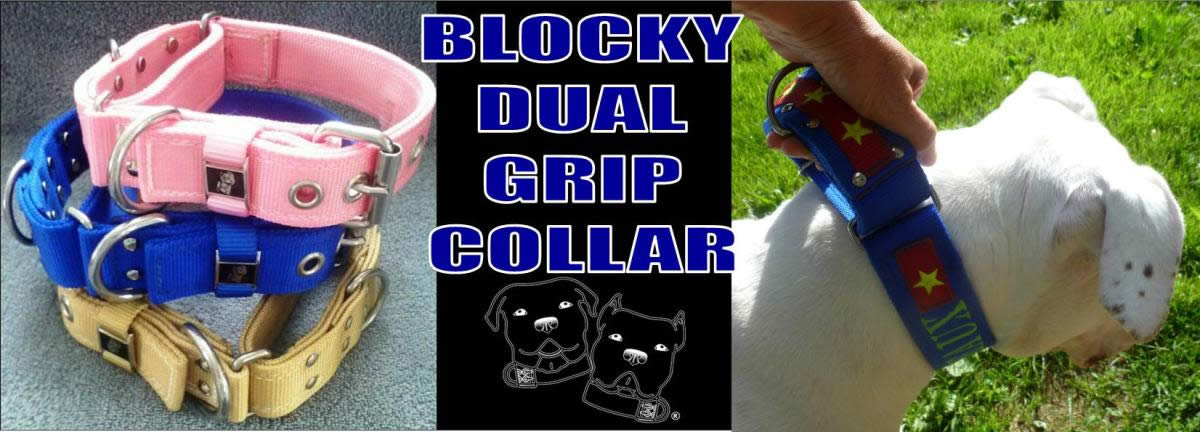 Martingale style collars with a buckle closure.  