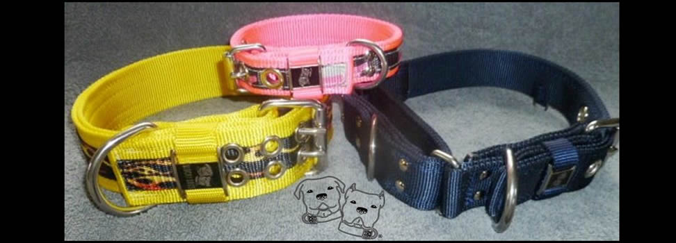 Collars in three widths to fit your dog.