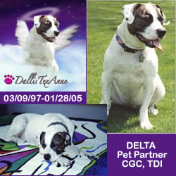 dallis collage
