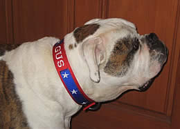 saving grace gus collar tn