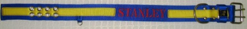 2" Flat Collar, Stripe & Embroidery - Break-in-Stripe