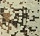 20 - Desert Camo
