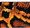 39 - Snakeskin