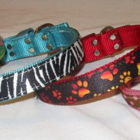 heavy duty collars with center stripe