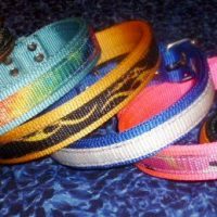 dog collars with center stripe