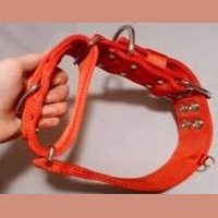 2 inch Dual Grip Collar, showing grip