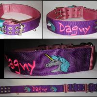 2 inch Dual Grip Collar with stripes and embroidery lettering and designs