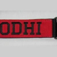 2 inch Dual Grip Collar with 2 inch stripe and embroidery