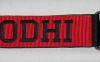 2 inch Dual Grip Collar with 2 inch stripe and embroidery