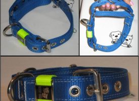 Dual Grip 1.5 inch collar with two colors: collar and keeper