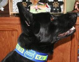 k9 law enforcement dog collars