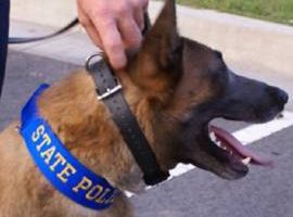 k9 law enforcement dog collars