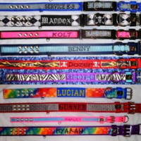 various dog collars with center stripe and embroidery