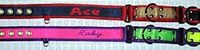 Stripe options for Dual Grip collars: different color in all 3 sections dog collar with center stripe and embroidery