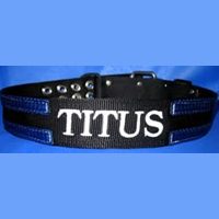 Break-in stripe for embroidery 2 inch dog collar with embroidery and split stripes