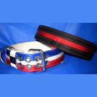 split-stripe on 2-inch collar dog collars with split stripes